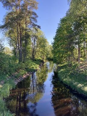 Vattendrag i grön skogsmiljö i Kinnared